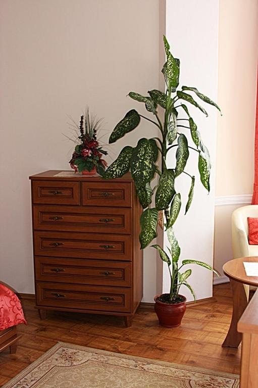 Olymp Penzion Komárno Room photo